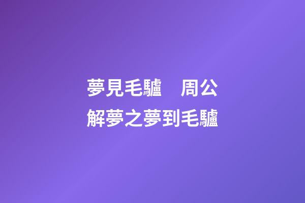夢見毛驢　周公解夢之夢到毛驢